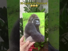 Changer des images en 3D Carte d'anniversaire Carte de mariage d'anniversaire Impression 3D