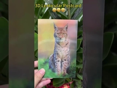 Les tournesols de Van Gogh Cartes postales lenticulaires 3D pour la galerie d'art du musée