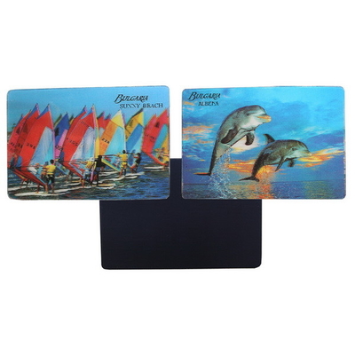 Magnetes de réfrigérateur 3D Magnetes de réfrigérateur 3D Lenticulaire Créatif Magnet Magnétique Magnetes 3D Souvenir touristique