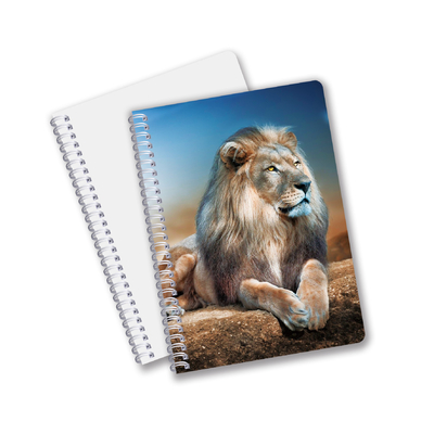 Impression 3D en gros avec effet 3D Lenticulaire Carnet à couverture rigide Carnet en spirale lié Carnet perforé Carnet pour enfants