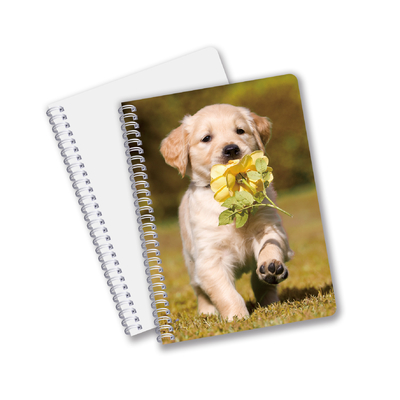 Impression 3D en gros avec effet 3D Lenticulaire Carnet à couverture rigide Carnet en spirale lié Carnet perforé Carnet pour enfants