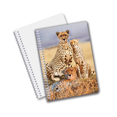 Impression 3D en gros avec effet 3D Lenticulaire Carnet à couverture rigide Carnet en spirale lié Carnet perforé Carnet pour enfants