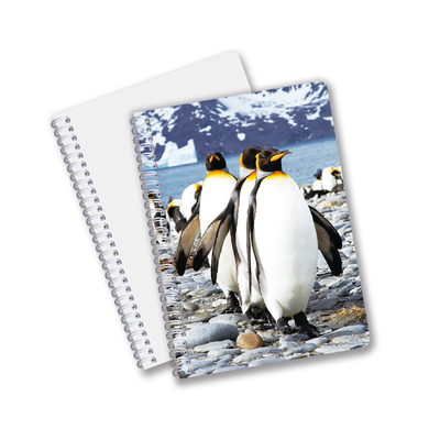 Vente chaude de papeterie scolaire Impression 3D Lenticulaire Carnet de jour pour souvenir