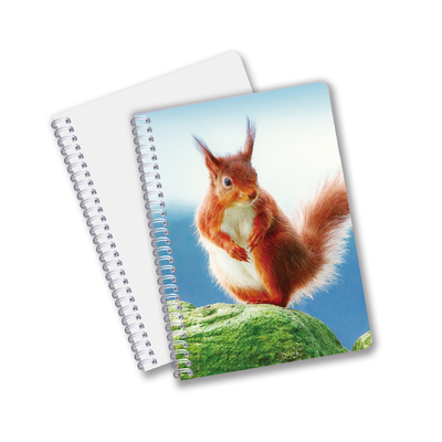 Utilisation quotidienne De bonne qualité Fabriqué en Chine Eco-friendly PET Durables feuilles personnalisées 3D Cahiers en spirale lenticulaire