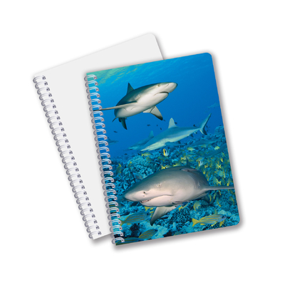 fournitures scolaires 3D Carnet de notes lenticulaire personnalisé Carnet de notes en spirale pour étudiant et bureau