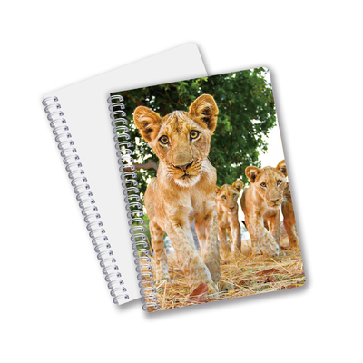 fournitures scolaires 3D Carnet de notes lenticulaire personnalisé Carnet de notes en spirale pour étudiant et bureau