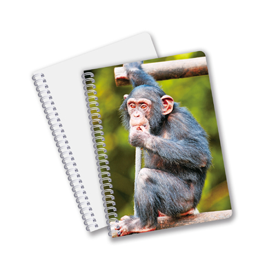 Fabrique sur mesure B5 A5 A6 3D Impression Lenticulaire Carnet de notes mignon Spirale Carnet d'étudiants