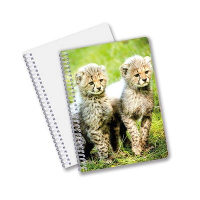 Fabrique sur mesure B5 A5 A6 3D Impression Lenticulaire Carnet de notes mignon Spirale Carnet d'étudiants