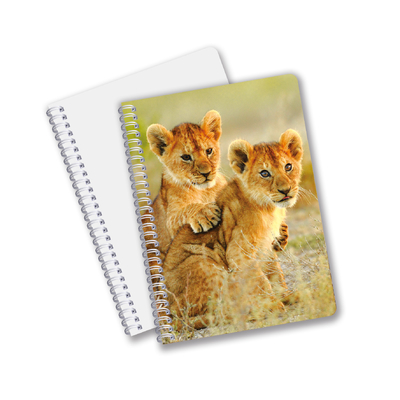 Fabrique sur mesure B5 A5 A6 3D Impression Lenticulaire Carnet de notes mignon Spirale Carnet d'étudiants