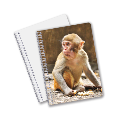 A5 A4 Standard Notebook 3D bon marché personnalisable 3D Notebook de journaux de Panda
