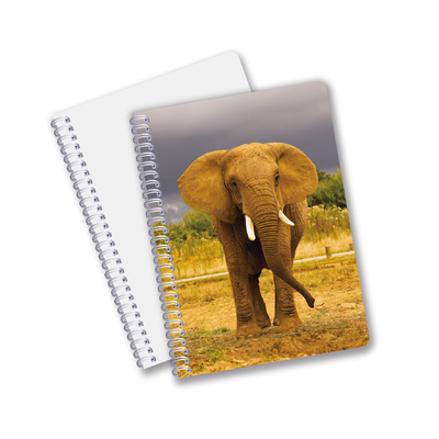 Chine Produits à bas prix Impression 3D personnalisée Lenticulaire Fleurs Animaux Carte à couverture rigide Réutilisable Avec Logo