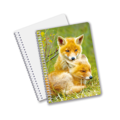 Chine Produits à bas prix Impression 3D personnalisée Lenticulaire Fleurs Animaux Carte à couverture rigide Réutilisable Avec Logo