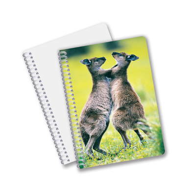 A5 A4 Standard Notebook 3D bon marché personnalisable 3D Notebook de journaux de Panda