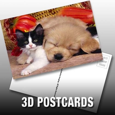 Flip Effect 3D carte postale lenticulaire Cute chiots et chatons