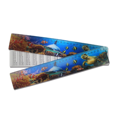 Impression 3D en gros Ruler en plastique Ruler d'impression Lenticulaire Accepter la taille personnalisée
