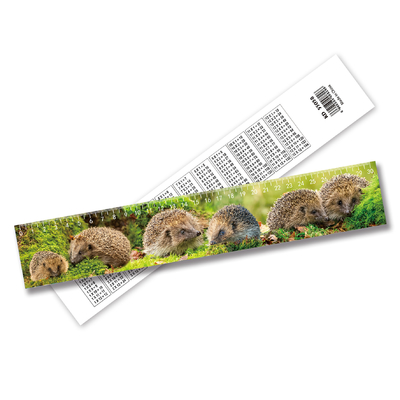 Réglateur 3D holographique personnalisé de haute qualité en gros Réglateur 3D personnalisé pour la promotion