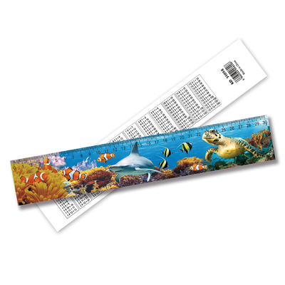 Ruler de haute qualité 3D Lenticulaire Ruler d'impression Lenticulaire Ruler droit Ruler en plastique