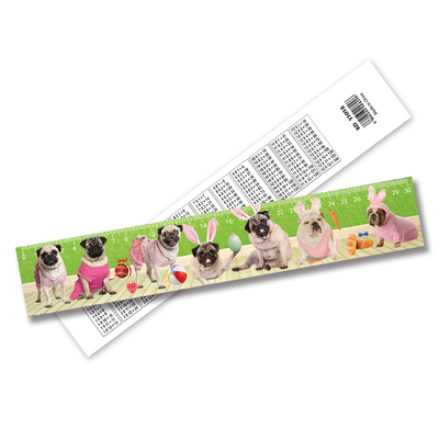 Ruler de haute qualité 3D Lenticulaire Ruler d'impression Lenticulaire Ruler droit Ruler en plastique