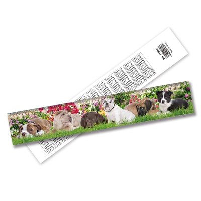 Ruler 3D Lenticulaire personnalisable Décoration de la maison en PET avec effet d'animation 3D