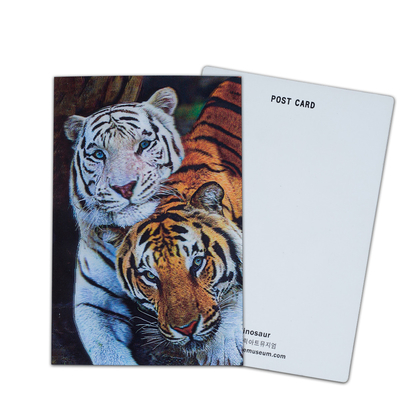 Personnalisez des cartes postales en 3D Lenticulaires Dinosaures Animaux sauvages pour le zoo