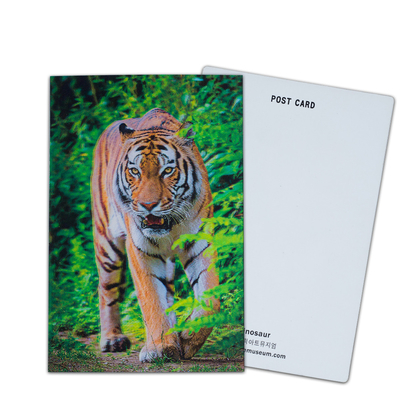 Personnalisez des cartes postales en 3D Lenticulaires Dinosaures Animaux sauvages pour le zoo