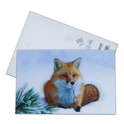 Impression de cartes postales lenticulaires Toucan Animaux sauvages Carte postale 3D Pour le parc zoologique Sealifes
