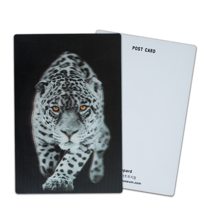 Personnalisez des cartes postales en 3D Lenticulaires Dinosaures Animaux sauvages pour le zoo