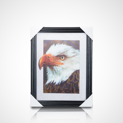 Le plus vendu Lenticulaire Lenticulaire feuille 3D Photo Lenticulaire Affiche Flip Photo Affiche Anime Affiche Lenticulaire 3D