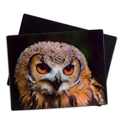 Le loup, le hibou, les animaux sauvages, les aimants 3D, le réfrigérateur, lenticulaire, l'aimant 3D pour les touristes.