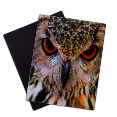 Le loup, le hibou, les animaux sauvages, les aimants 3D, le réfrigérateur, lenticulaire, l'aimant 3D pour les touristes.