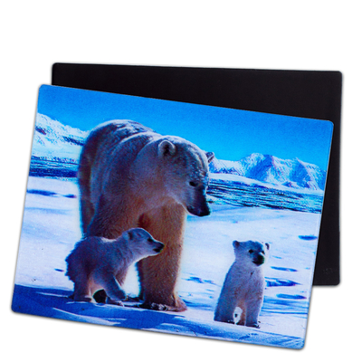 Magnéte 3D pour les chiots pour cadeau de souvenir