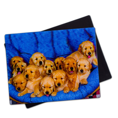 Magnéte 3D pour les chiots pour cadeau de souvenir