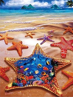 Des animaux marins, des dauphins, des tortues, des requins, des lenticules, des cartes en 3D, des souvenirs, des cartes cadeaux.
