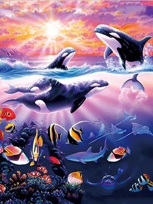 Des animaux marins, des dauphins, des tortues, des requins, des lenticules, des cartes en 3D, des souvenirs, des cartes cadeaux.