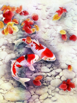 Des animaux marins, des dauphins, des tortues, des requins, des lenticules, des cartes en 3D, des souvenirs, des cartes cadeaux.