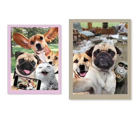 Nouveaux produits Cartes de vœux en hologramme 3D avec une série d'animaux intéressants
