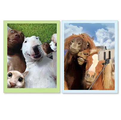 Nouveaux produits Cartes de vœux en hologramme 3D avec une série d'animaux intéressants