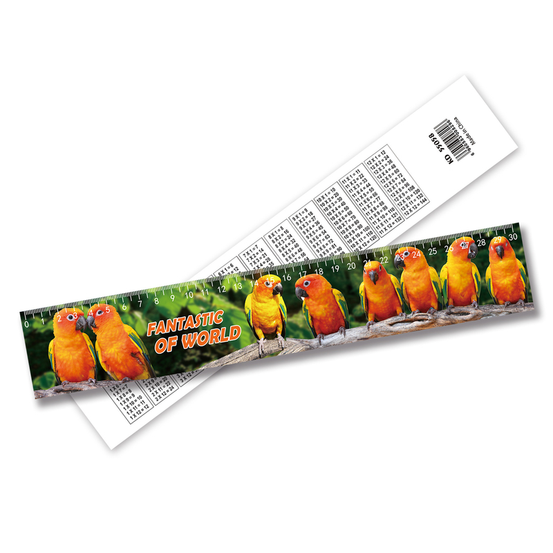 Impression 3D en gros Ruler en plastique Ruler d'impression Lenticulaire Accepter la taille personnalisée