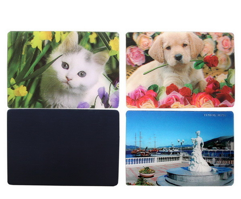 Magnetes de réfrigérateur 3D Magnetes de réfrigérateur 3D Lenticulaire Créatif Magnet Magnétique Magnetes 3D Souvenir touristique