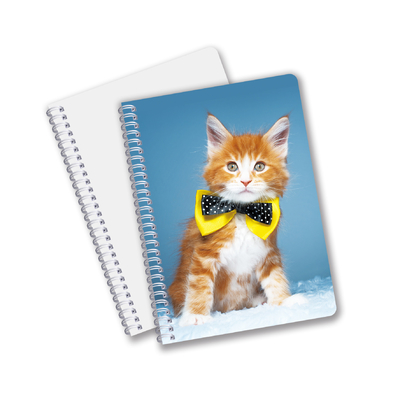 Impression 3D en gros avec effet 3D Lenticulaire Carnet à couverture rigide Carnet en spirale lié Carnet perforé Carnet pour enfants
