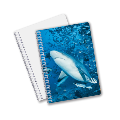 Vente chaude de papeterie scolaire Impression 3D Lenticulaire Carnet de jour pour souvenir