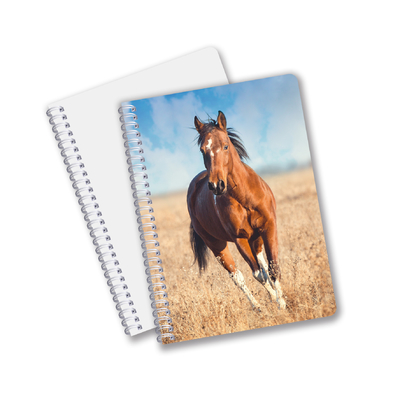 fournitures scolaires 3D Carnet de notes lenticulaire personnalisé Carnet de notes en spirale pour étudiant et bureau