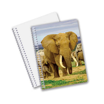 Fabrique sur mesure B5 A5 A6 3D Impression Lenticulaire Carnet de notes mignon Spirale Carnet d'étudiants