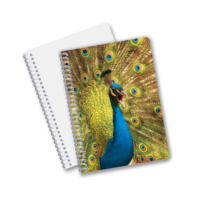 Bonne qualité 3D personnalisé Lenticulaire du matériel de PET Promotion cadeau Spiral 3D Notebook d'impression