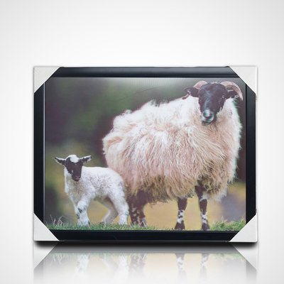 Impression d'affiches en 3D PET Lenticulaire personnalisée Peinture 3D avec cadre PS noir pour la décoration intérieure