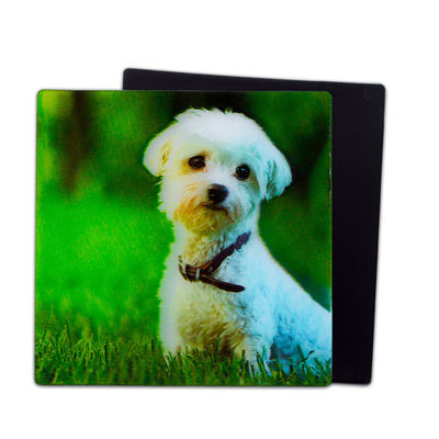 Magnéte 3D pour les chiots pour cadeau de souvenir