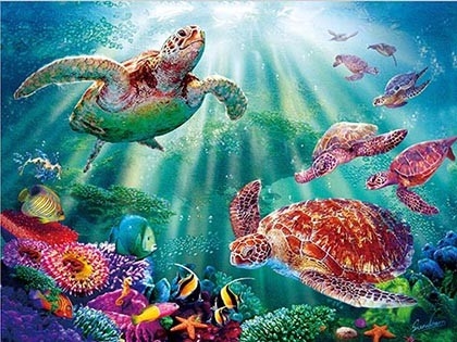 Des animaux marins, des dauphins, des tortues, des requins, des lenticules, des cartes en 3D, des souvenirs, des cartes cadeaux.