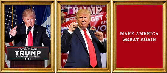 TRUMP conçoit l'impression personnalisée 3D PET affiche lenticulaire Impression lenticulaire 3D